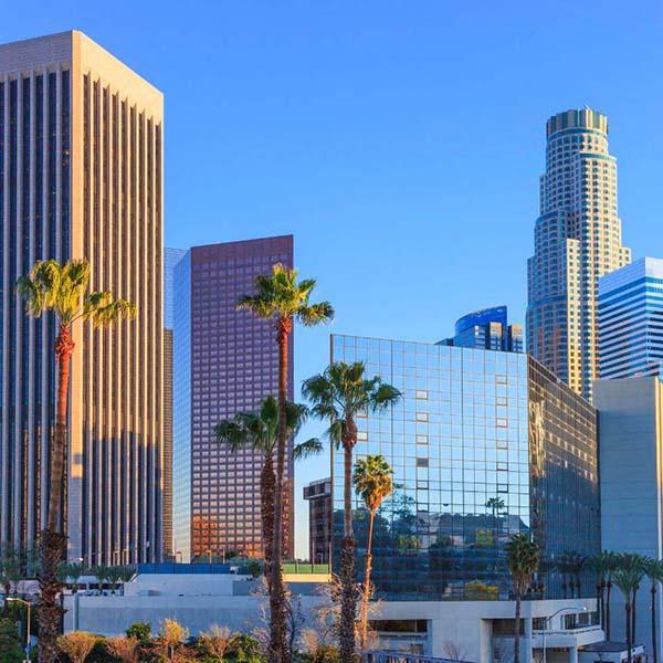 Downtown los angeles building and palm trees